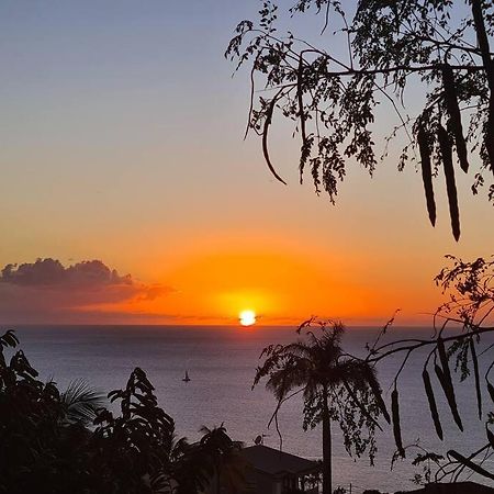 Ti Sucrier Jaune - Douceur Caraibe Vue Mer Le Carbet Exterior foto