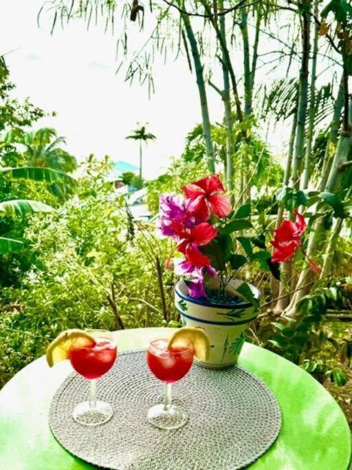 Ti Sucrier Jaune - Douceur Caraibe Vue Mer Le Carbet Exterior foto