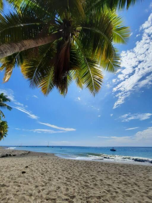 Ti Sucrier Jaune - Douceur Caraibe Vue Mer Le Carbet Exterior foto