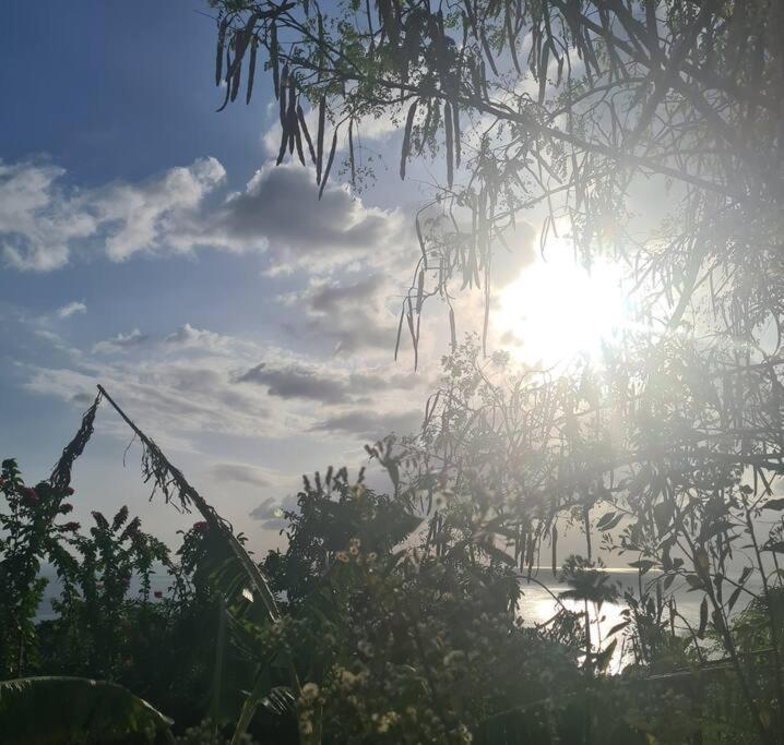 Ti Sucrier Jaune - Douceur Caraibe Vue Mer Le Carbet Exterior foto