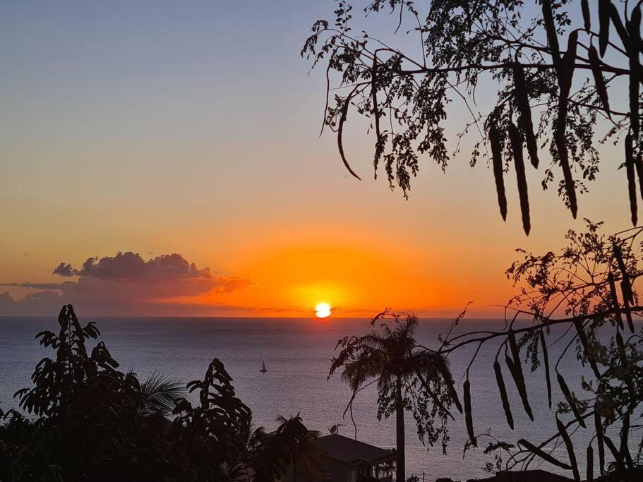 Ti Sucrier Jaune - Douceur Caraibe Vue Mer Le Carbet Exterior foto